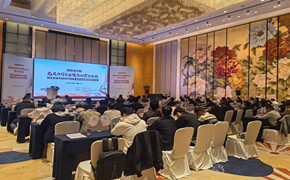 肺癌围术期免疫治疗管理规范化诊疗巡讲暨免疫围术期治疗赋能医院高质量发展会圆满举办 聚焦肺癌围术期诊疗规范化，共绘医院高质量发展新蓝图